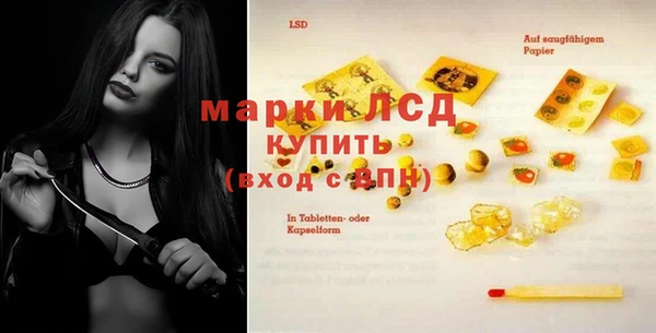 стаф Верхний Тагил