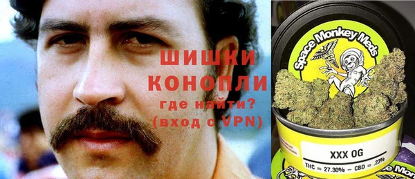 амф Верея