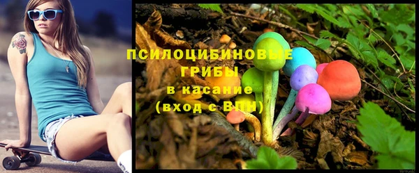 стаф Верхний Тагил