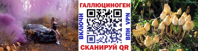 Галлюциногенные грибы мухоморы  Купить  Томари 